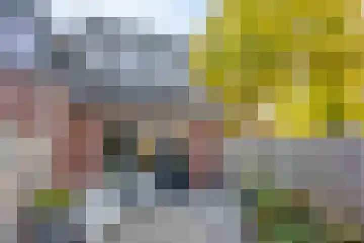 Zwolseweg 1 Heino thumbnail 27