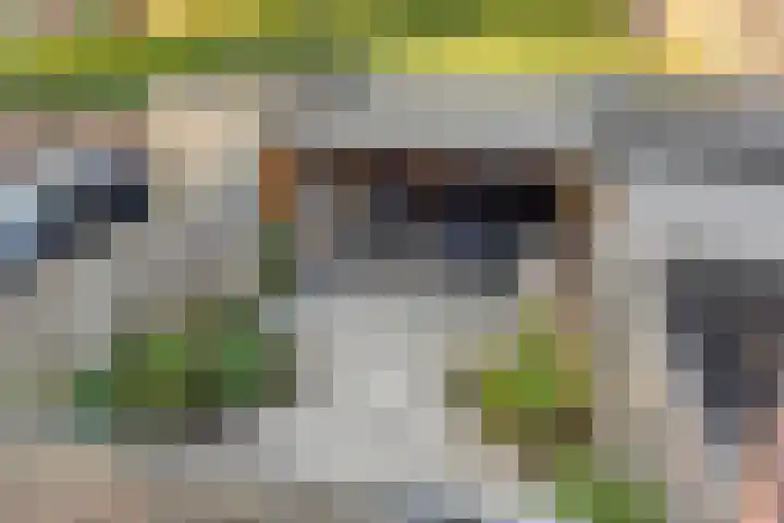 Zwolseweg 1 Heino thumbnail 28