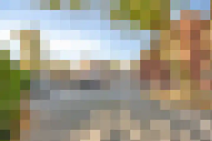 Zwolseweg 1 Heino thumbnail 31