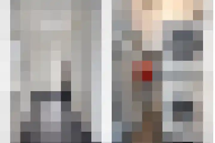 Zwolseweg 1 Heino thumbnail 6