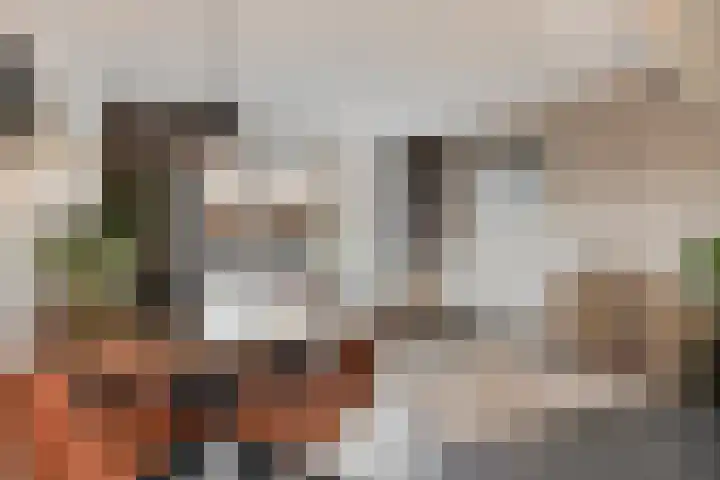 Zwolseweg 1 Heino thumbnail 8