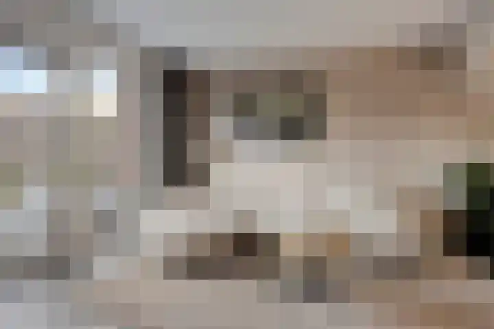 Zwolseweg 1 Heino thumbnail 9