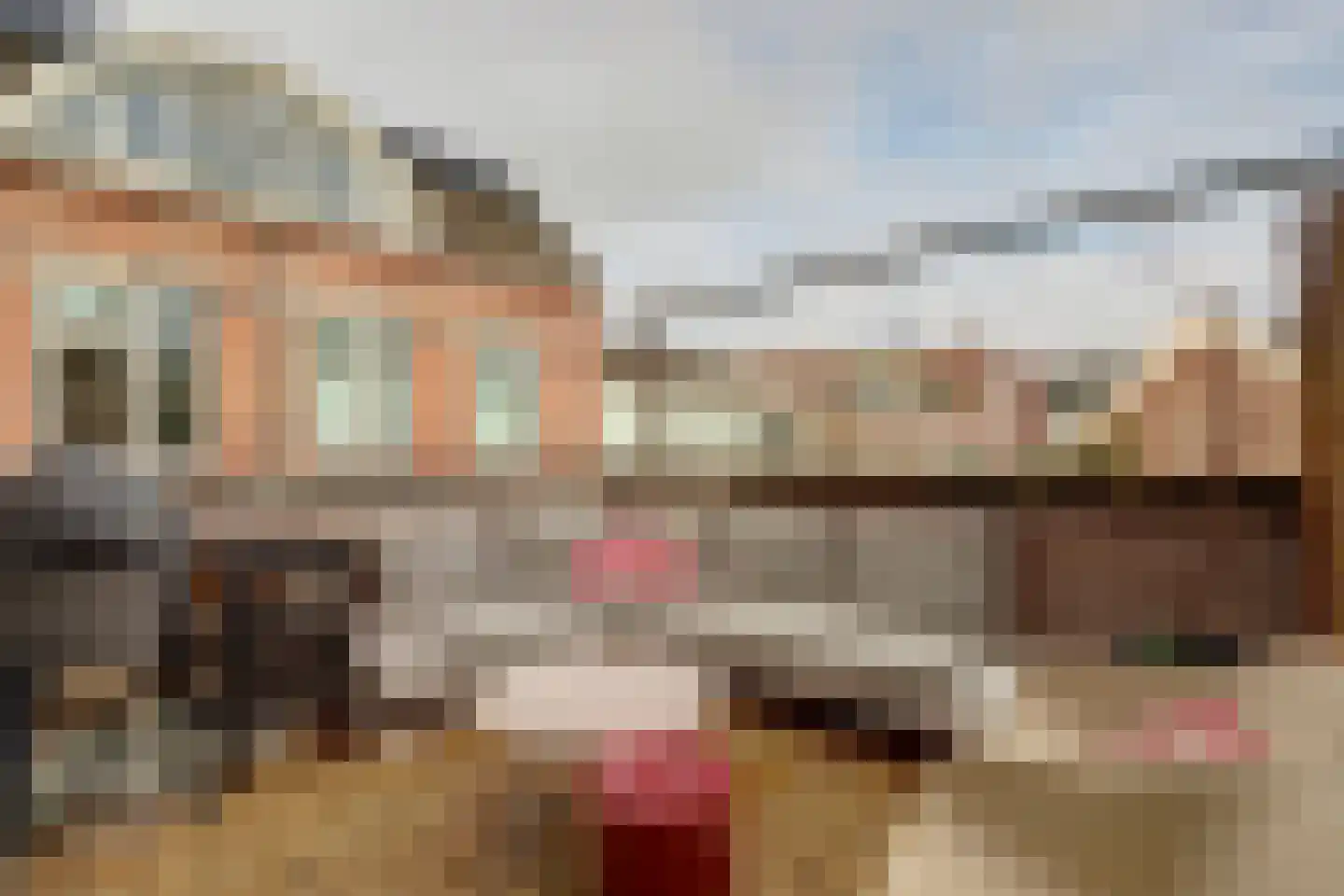 Zwolseweg 10 Deventer thumbnail 31