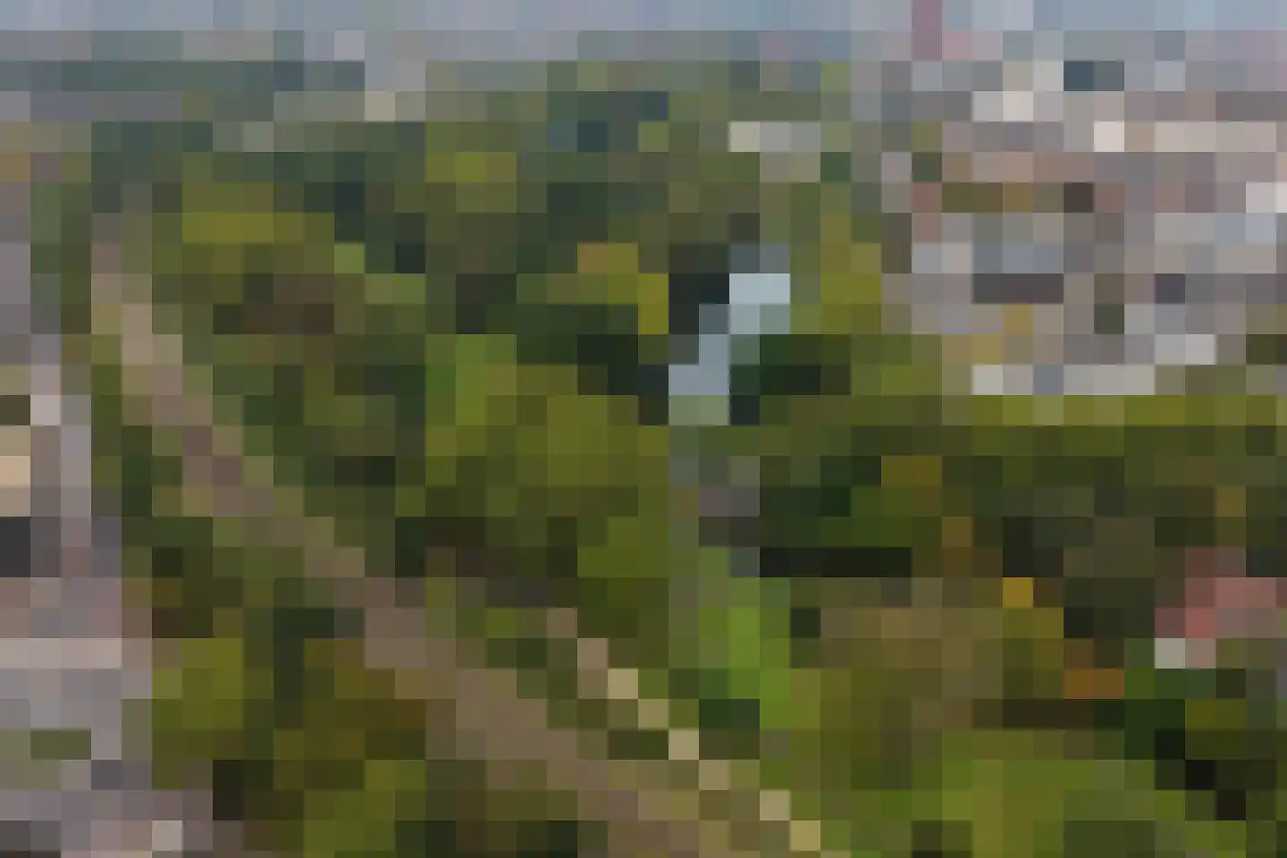 Zwolseweg 10 Deventer thumbnail 36