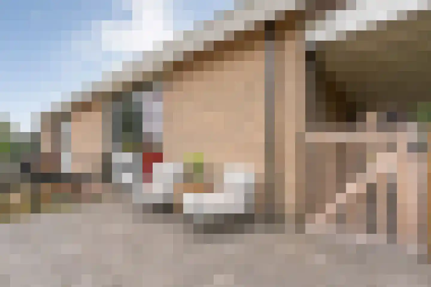 Zwolseweg 159 Balkbrug thumbnail 37