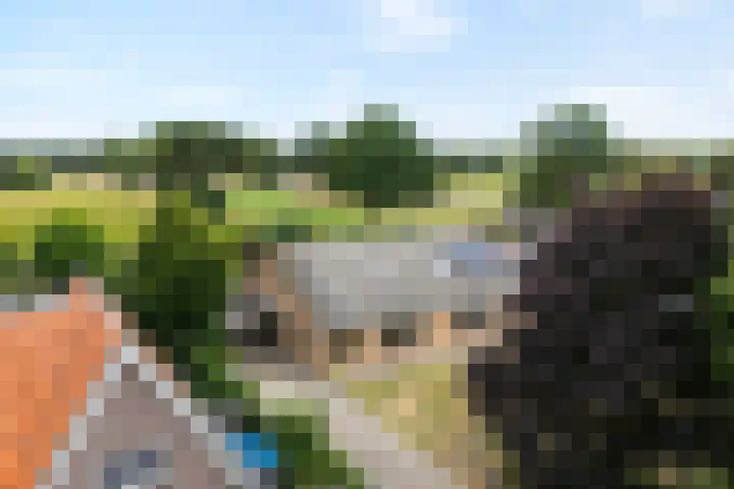 Zwolseweg 159 Balkbrug thumbnail 4