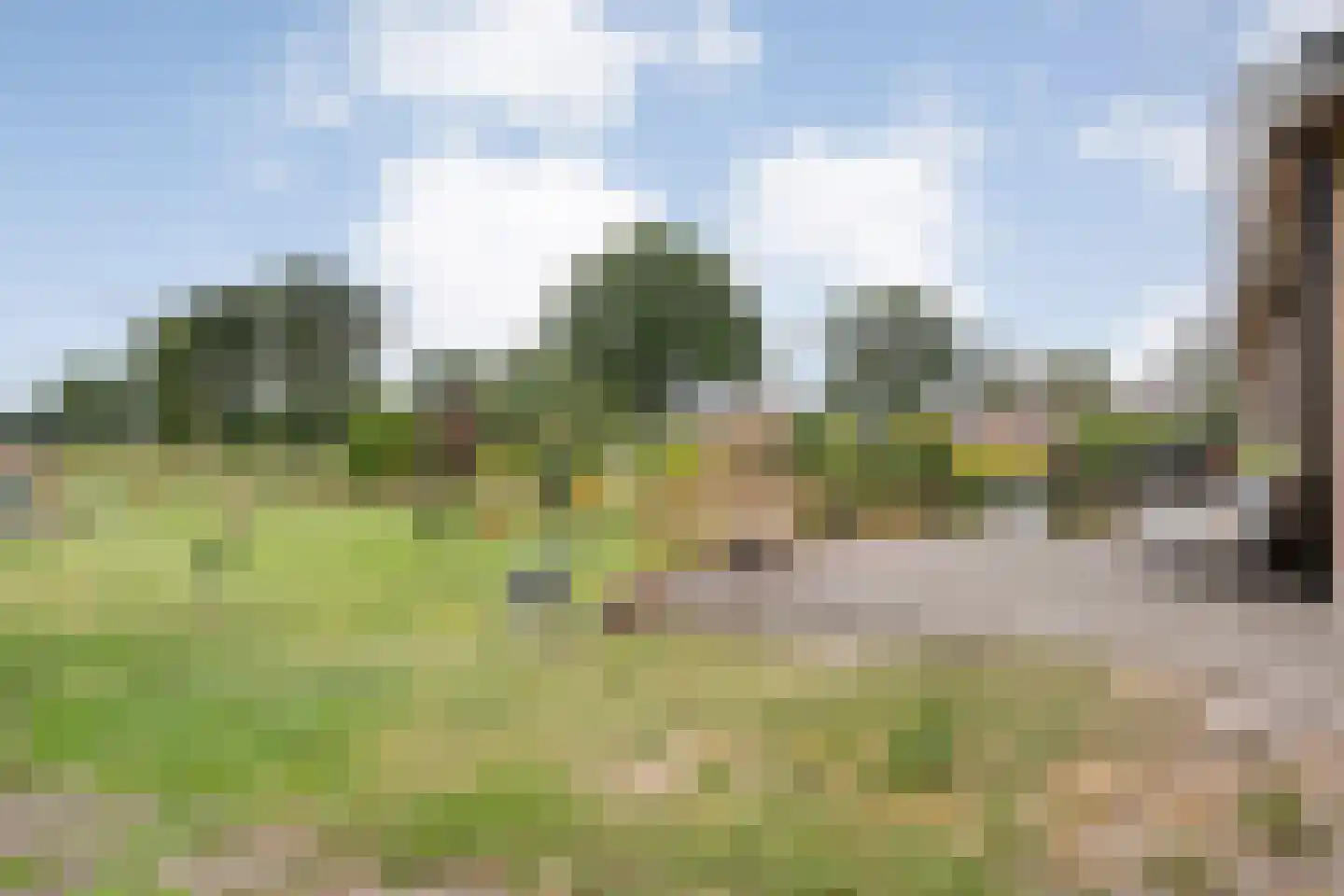 Zwolseweg 159 Balkbrug thumbnail 41