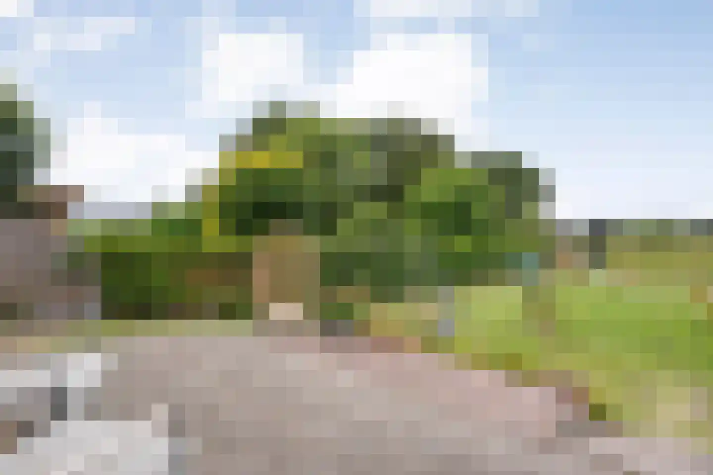 Zwolseweg 159 Balkbrug thumbnail 42