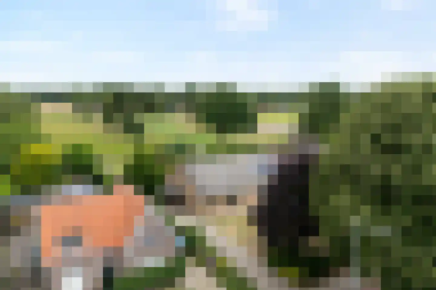 Zwolseweg 159 Balkbrug thumbnail 45