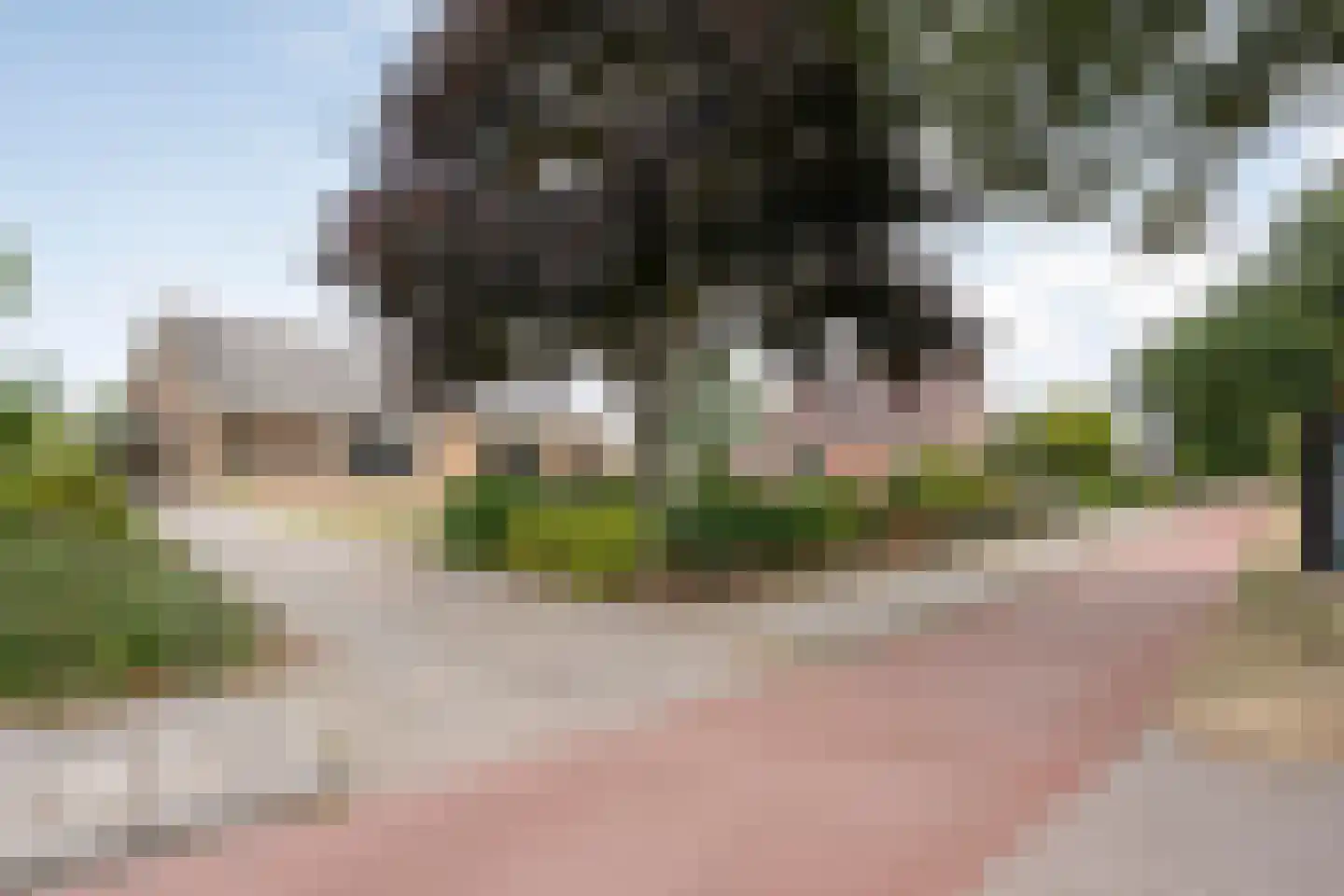Zwolseweg 159 Balkbrug thumbnail 47