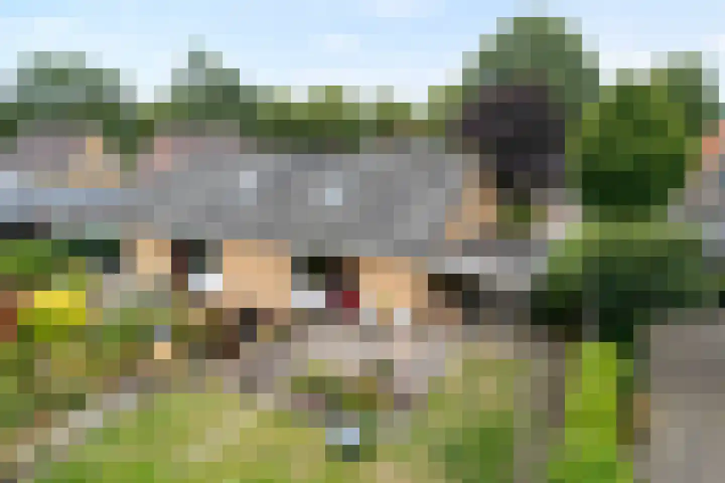 Zwolseweg 159 Balkbrug thumbnail 5