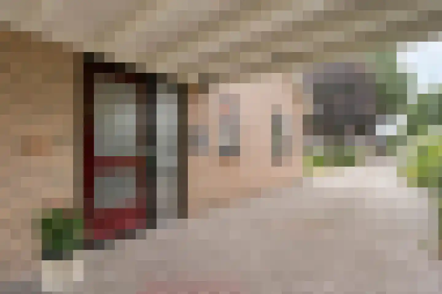 Zwolseweg 159 Balkbrug thumbnail 7