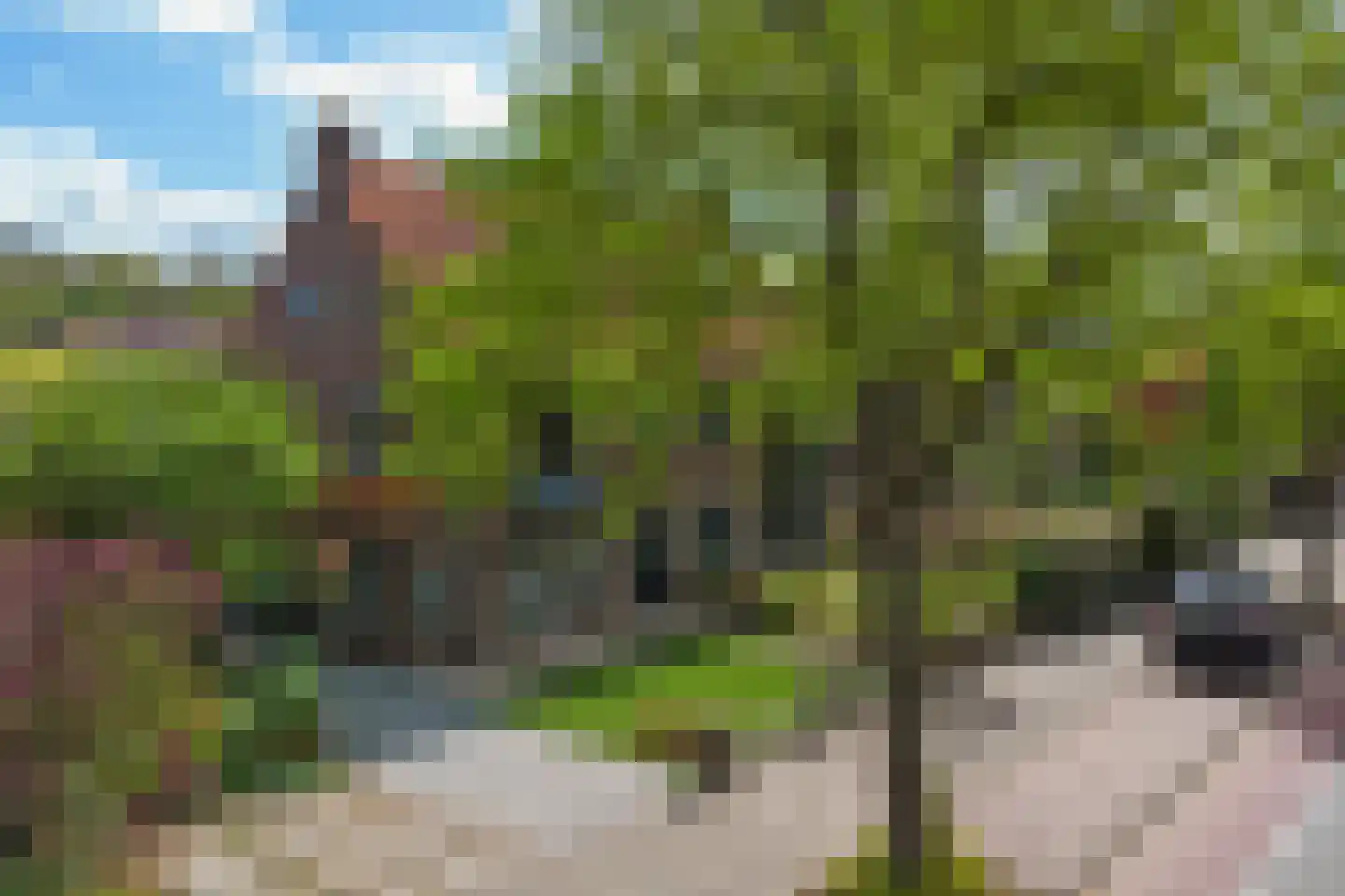 Zwolseweg 162 Deventer thumbnail 58