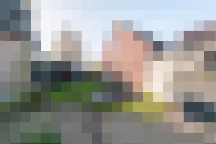 Zwolseweg 176 b Balkbrug thumbnail 38