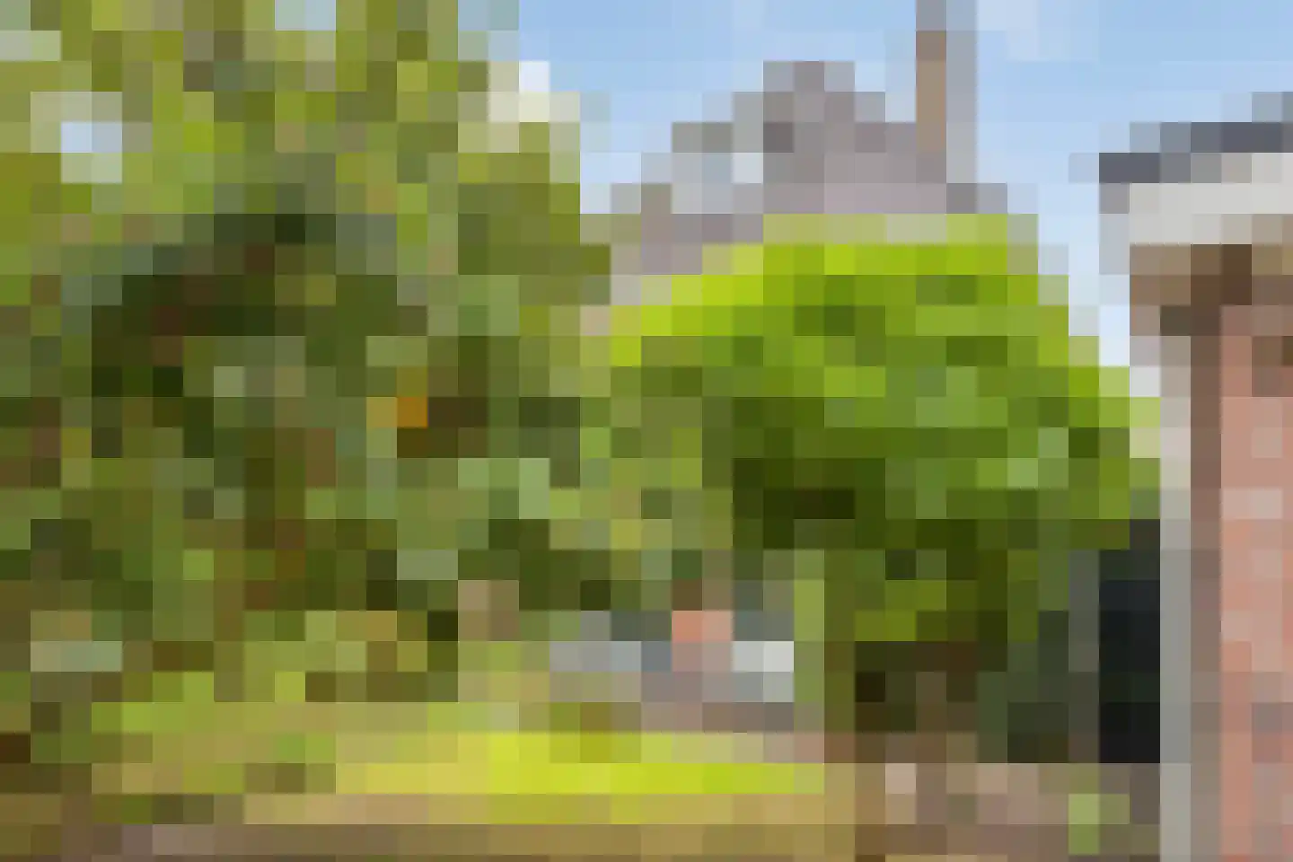 Zwolseweg 178 Deventer thumbnail 36