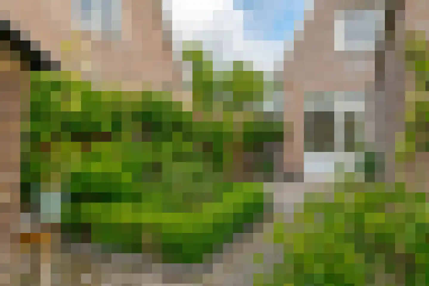 Zwolseweg 18 Balkbrug thumbnail 11