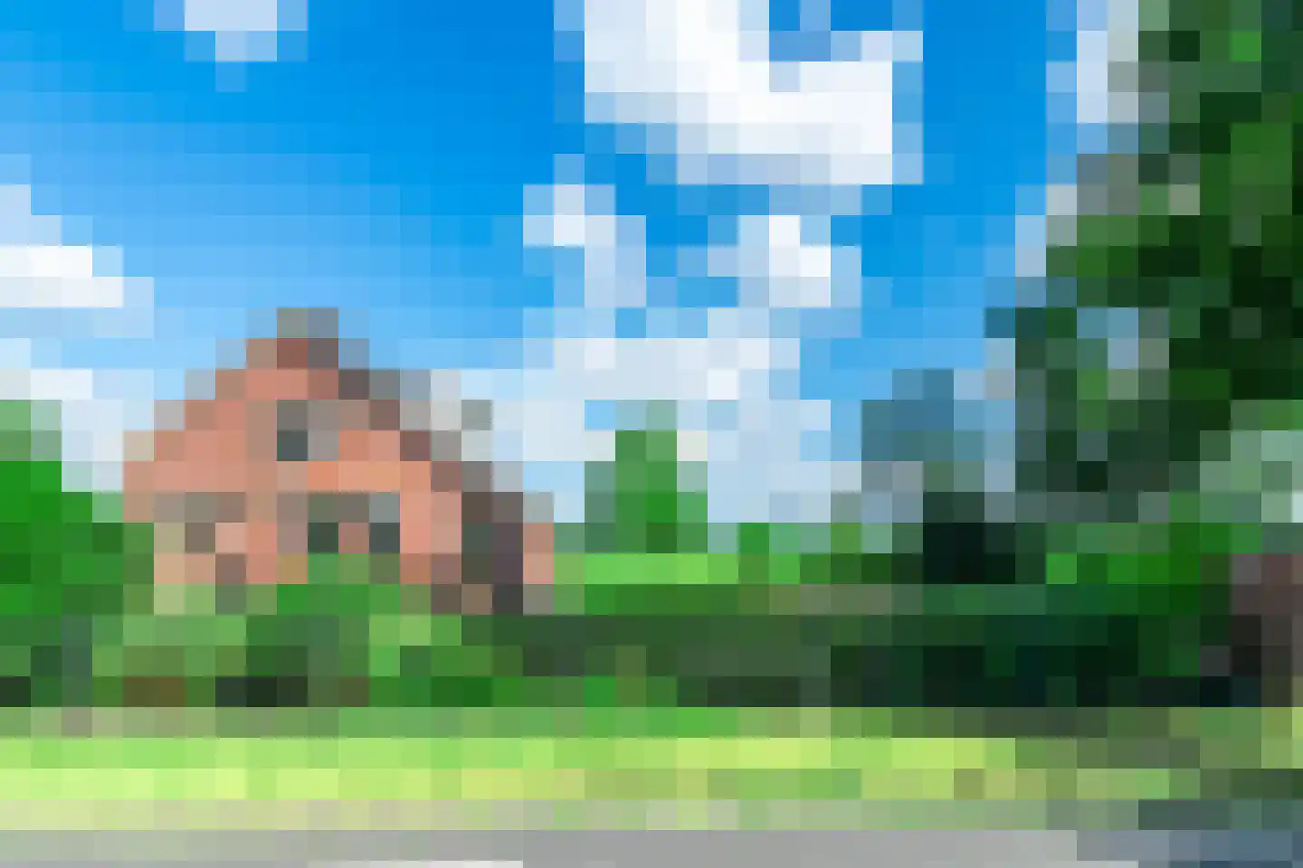 Zwolseweg 205 Balkbrug thumbnail 25