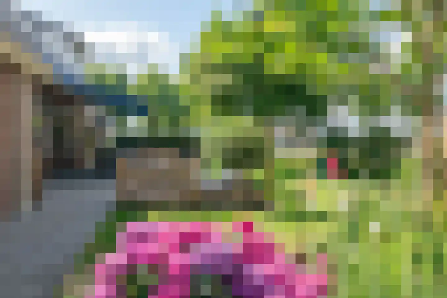 Zwolseweg 205 Balkbrug thumbnail 30