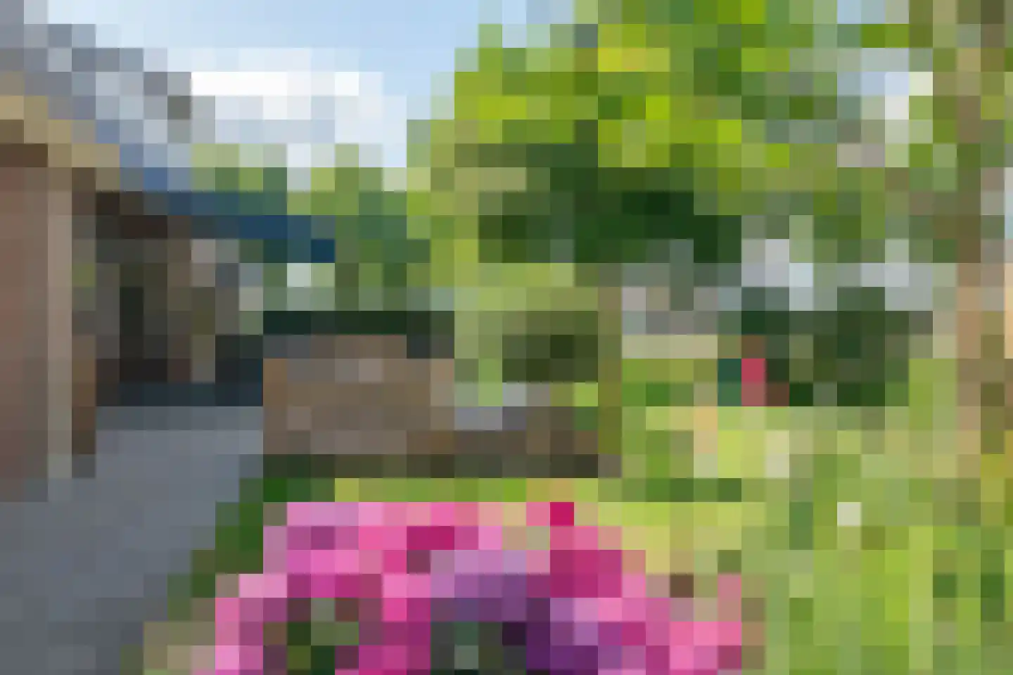 Zwolseweg 205 Balkbrug thumbnail 31
