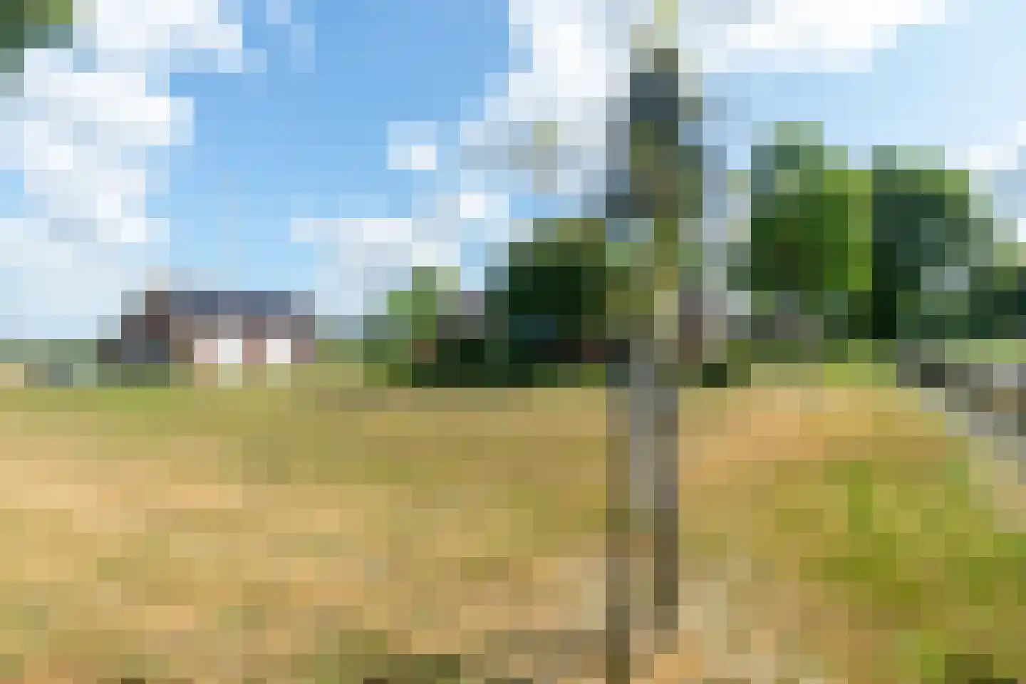 Zwolseweg 205 Balkbrug thumbnail 35