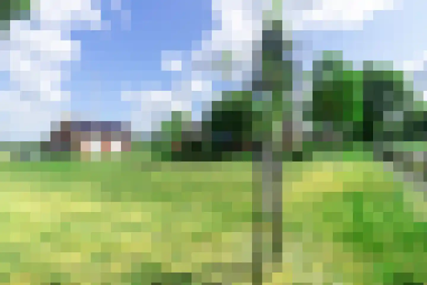 Zwolseweg 205 Balkbrug thumbnail 37