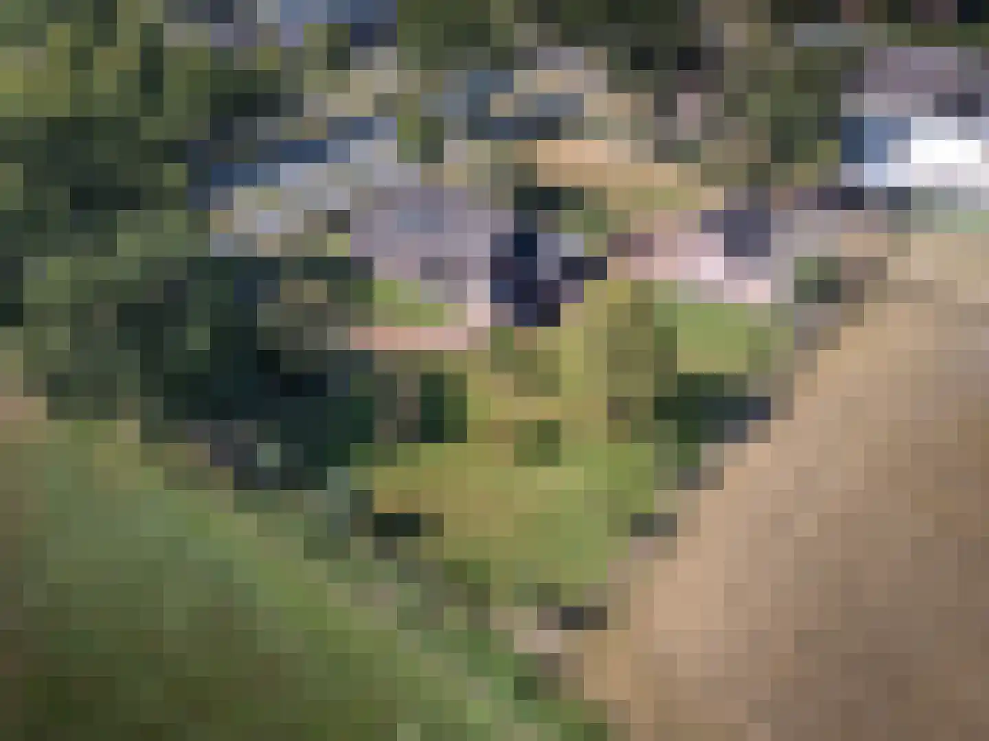 Zwolseweg 205 Balkbrug thumbnail 39