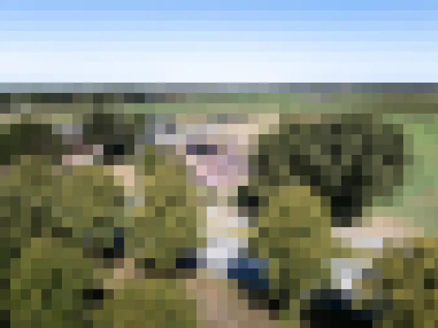 Zwolseweg 205 Balkbrug thumbnail 6