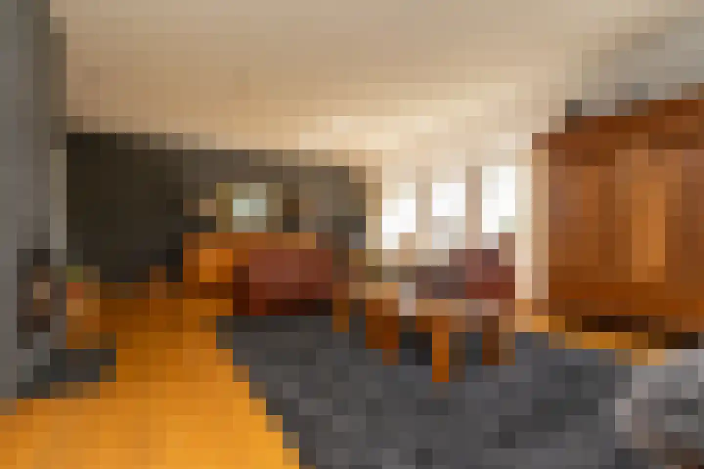Zwolseweg 205 Balkbrug thumbnail 8