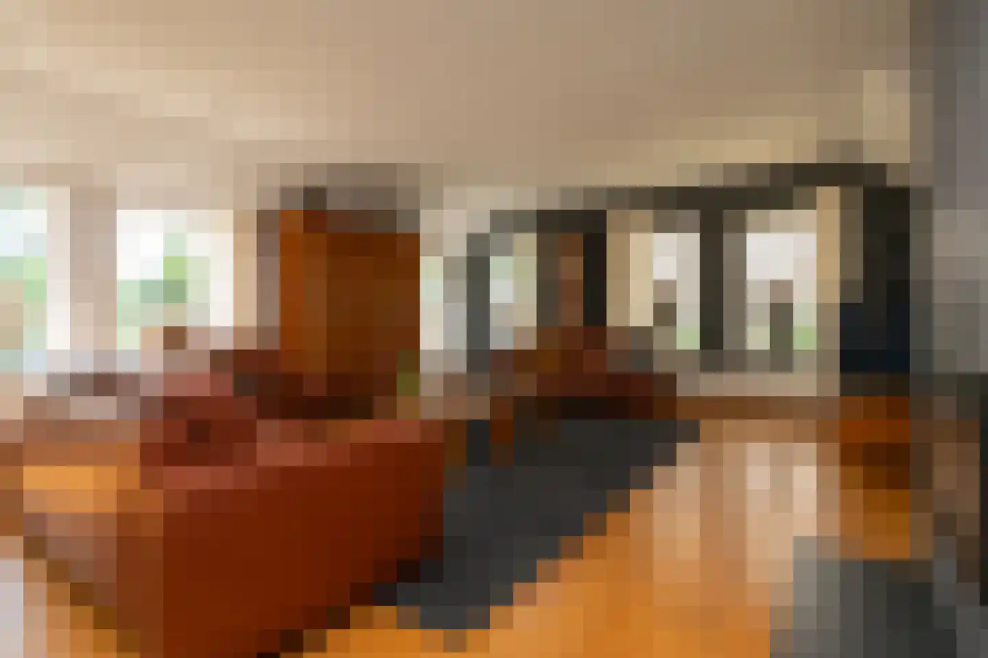 Zwolseweg 205 Balkbrug thumbnail 9