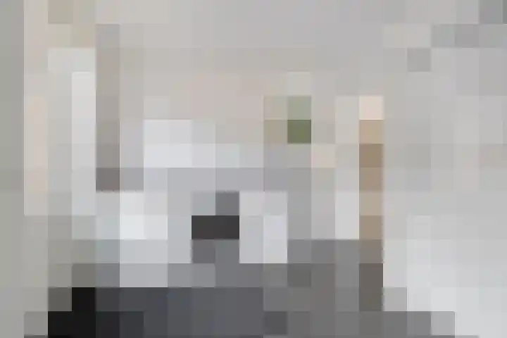 Zwolseweg 21 Balkbrug thumbnail 27