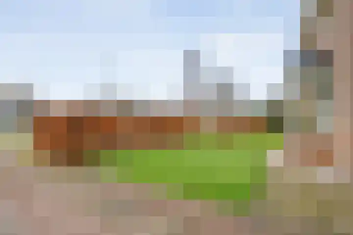 Zwolseweg 21 Balkbrug thumbnail 4