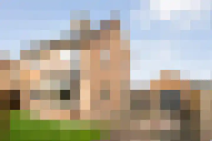 Zwolseweg 21 Balkbrug thumbnail 5