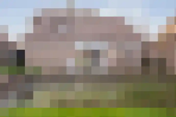 Zwolseweg 21 Balkbrug thumbnail 57