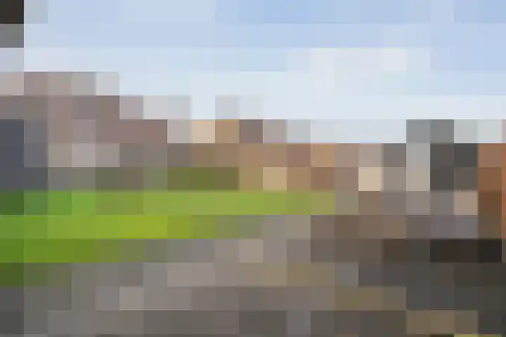 Zwolseweg 21 Balkbrug thumbnail 64