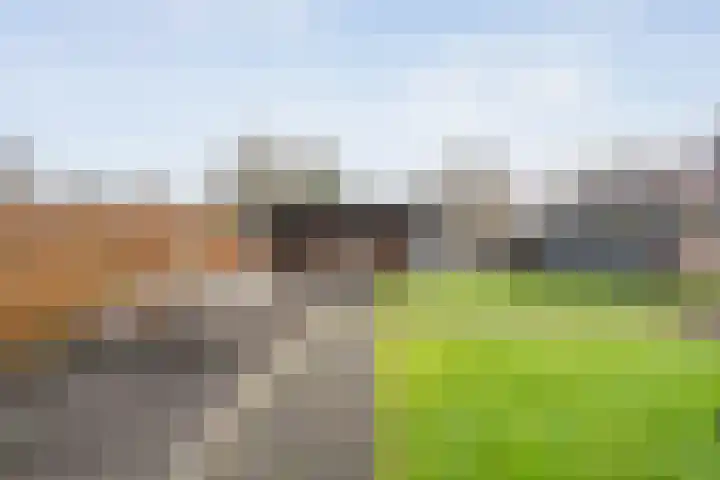Zwolseweg 21 Balkbrug thumbnail 65