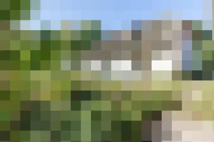 Zwolseweg 227 Balkbrug thumbnail 29