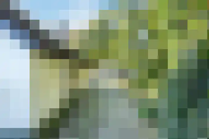 Zwolseweg 227 Balkbrug thumbnail 30