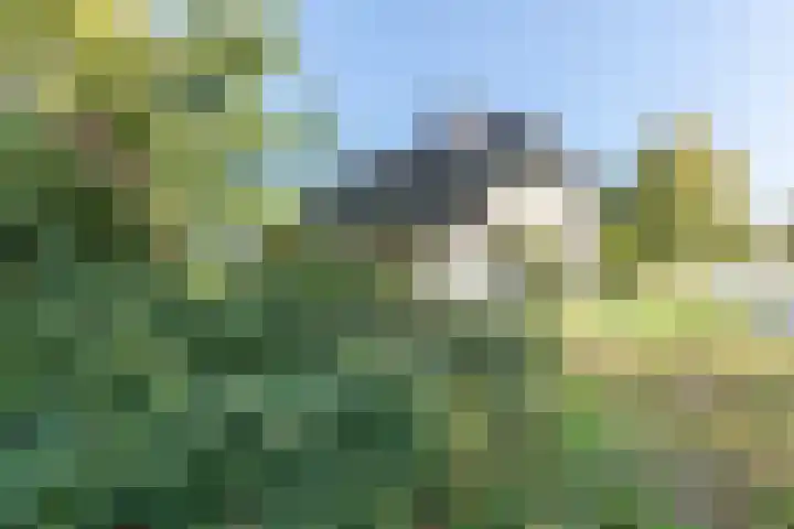 Zwolseweg 227 Balkbrug thumbnail 31
