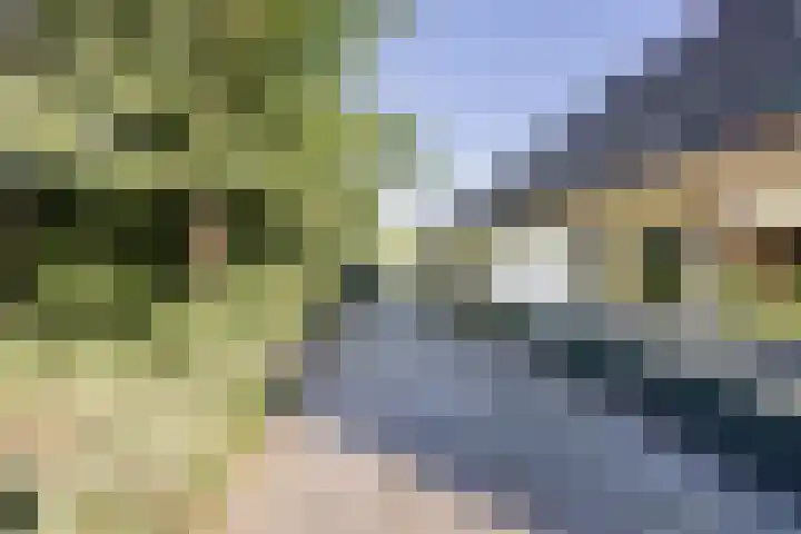 Zwolseweg 227 Balkbrug thumbnail 4