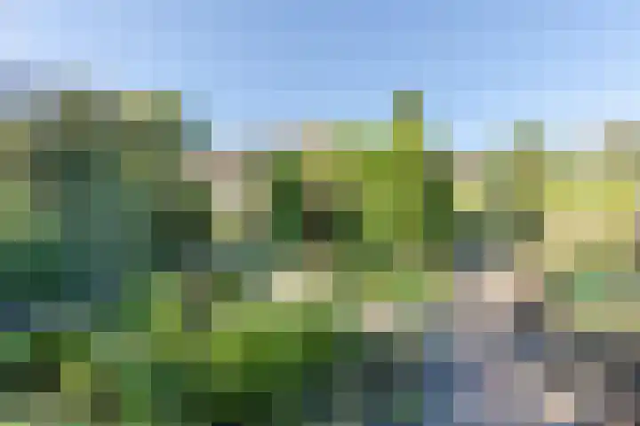 Zwolseweg 227 Balkbrug thumbnail 5
