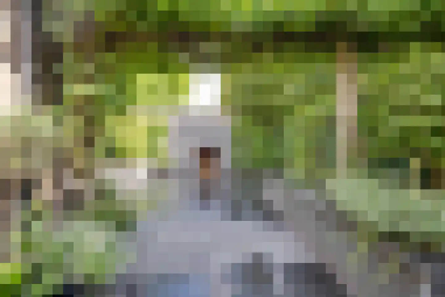 Zwolseweg 232 Apeldoorn thumbnail 54