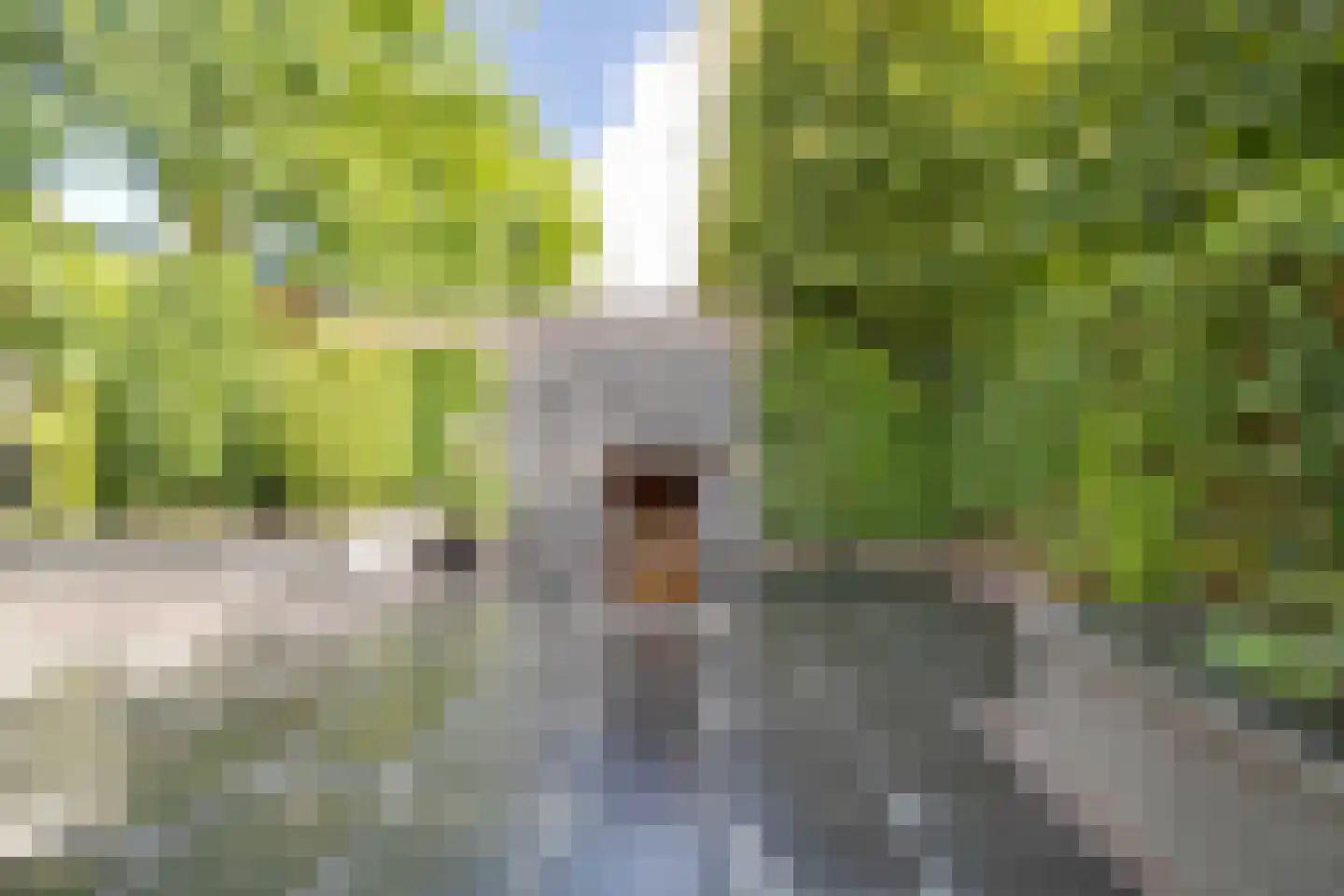 Zwolseweg 232 Apeldoorn thumbnail 55
