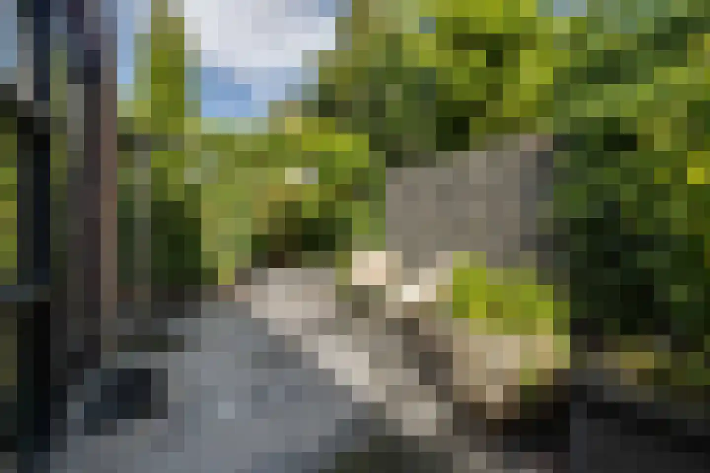 Zwolseweg 232 Apeldoorn thumbnail 59