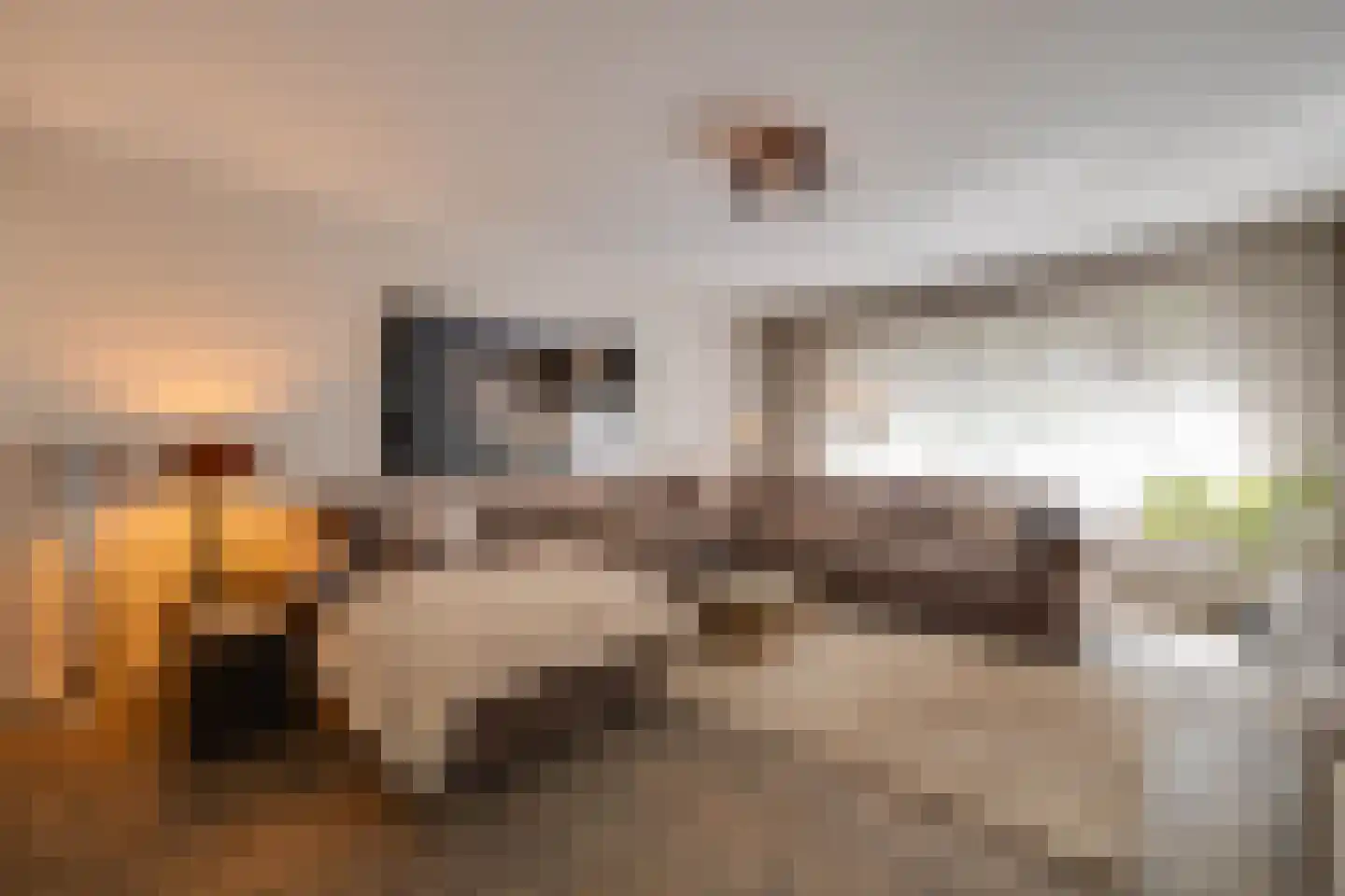 Zwolseweg 232 Apeldoorn thumbnail 6