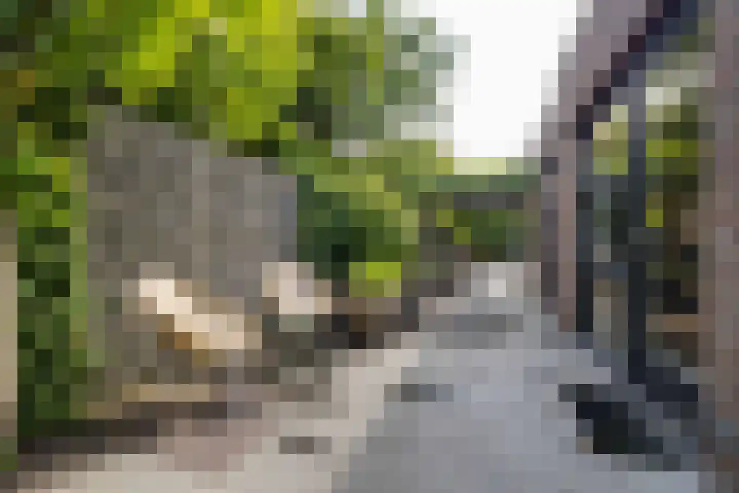 Zwolseweg 232 Apeldoorn thumbnail 60