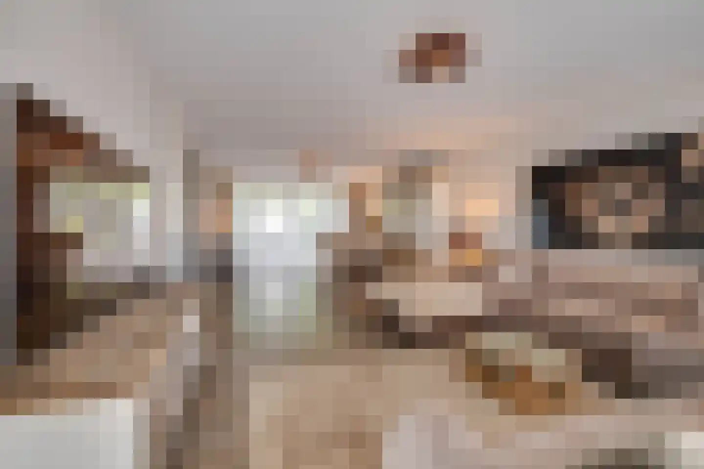 Zwolseweg 232 Apeldoorn thumbnail 8