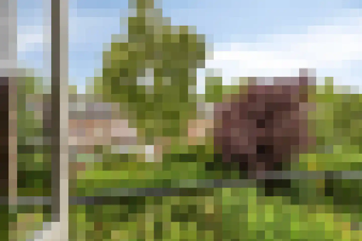 Zwolseweg 255 Deventer thumbnail 18