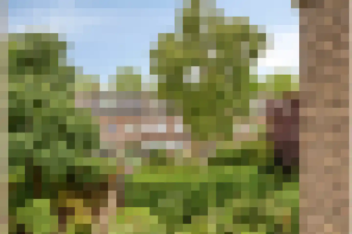 Zwolseweg 255 Deventer thumbnail 19