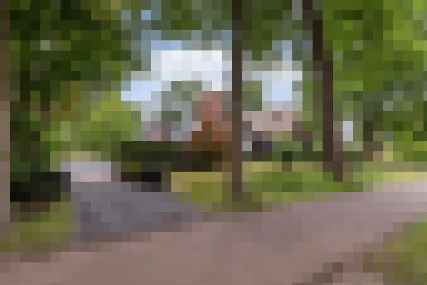 Zwolseweg 278 Apeldoorn thumbnail 10