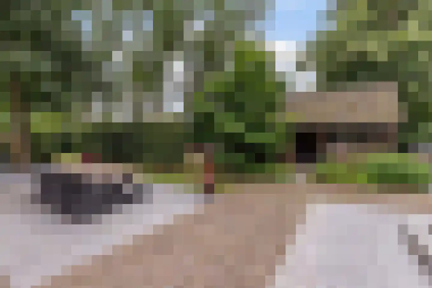 Zwolseweg 278 Apeldoorn thumbnail 14